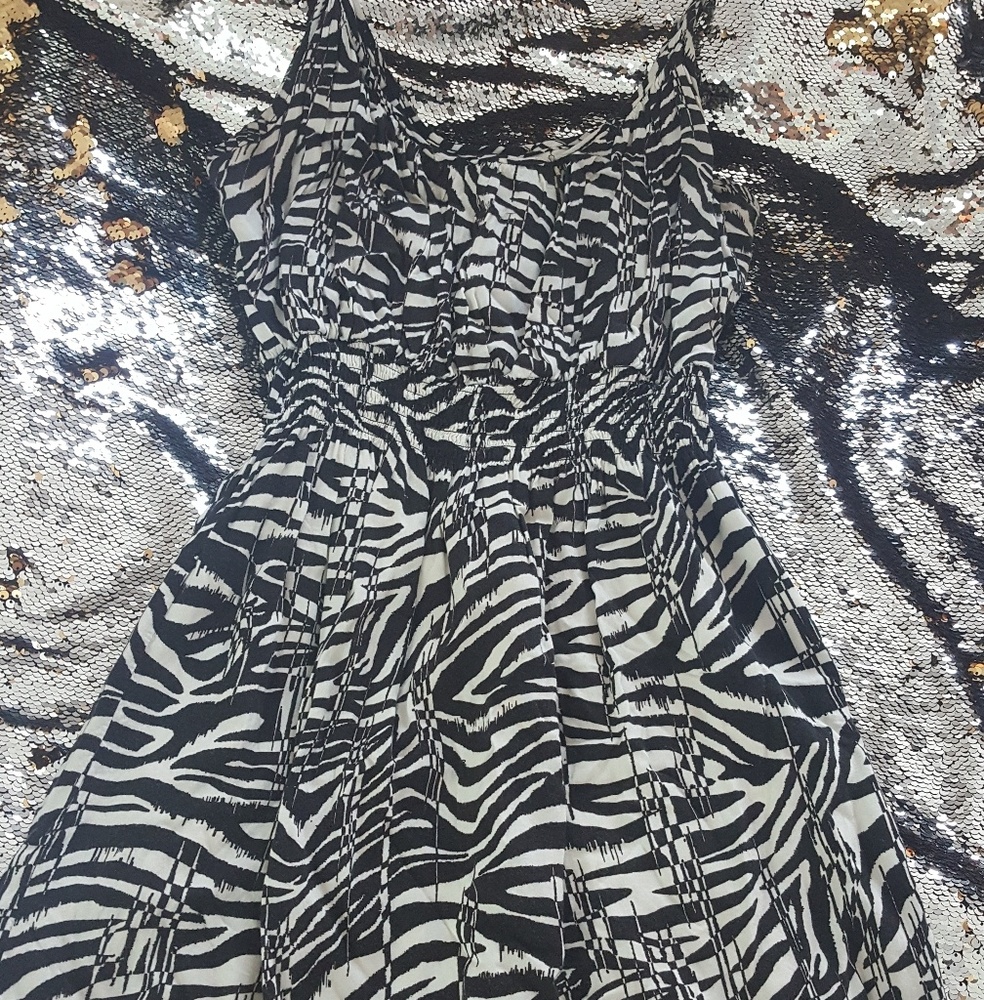 Black & White Zebra Stripe Dress